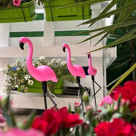 Casa Flamingo Otel Figueira da Foz Dış mekan fotoğraf